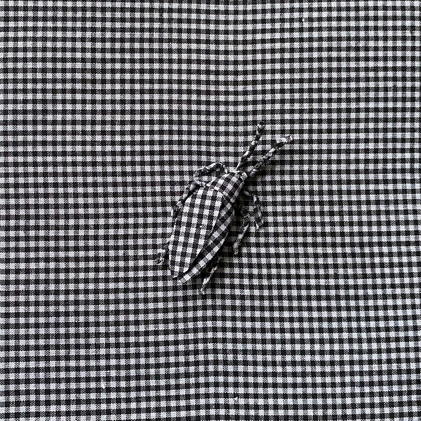 Roach!