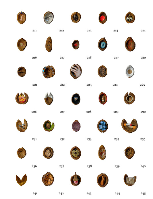Hickory Nuts 201-270