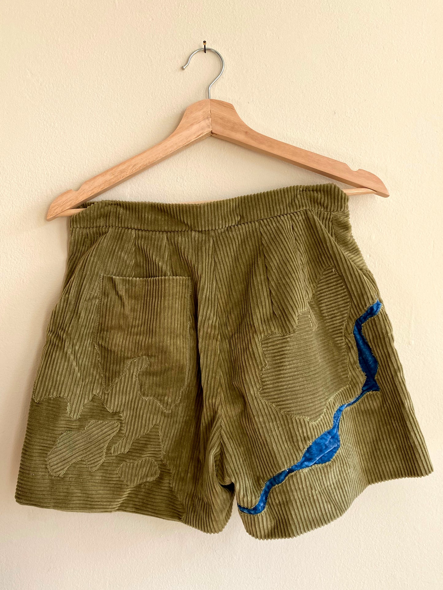 Landscape Shorts